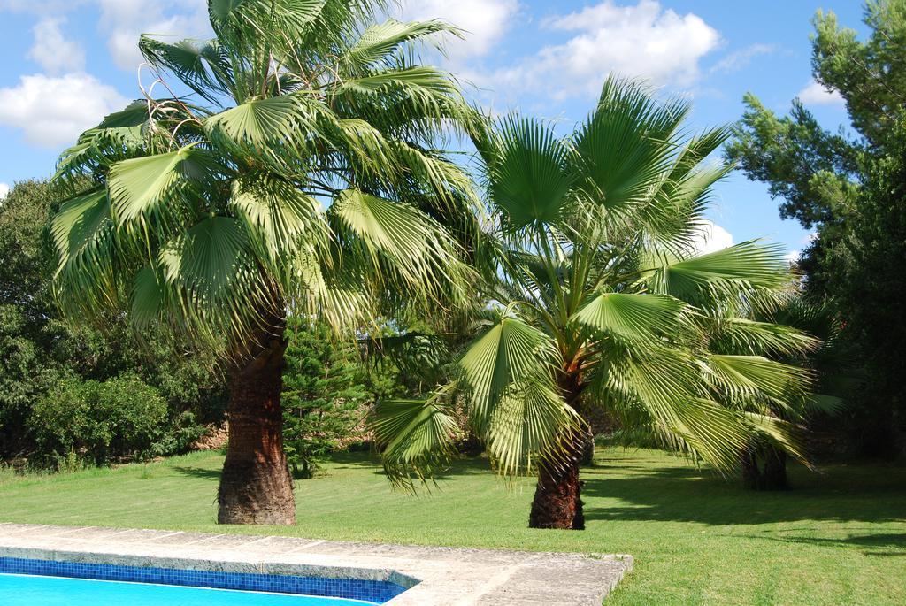 Finca Son Vivot Εξωτερικό φωτογραφία