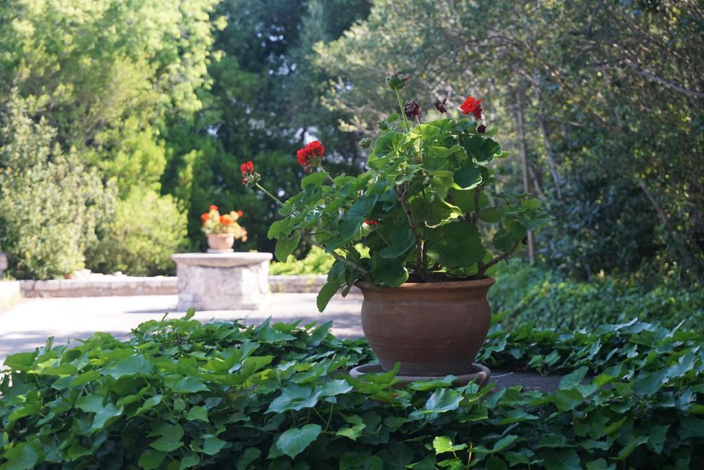 Finca Son Vivot Εξωτερικό φωτογραφία